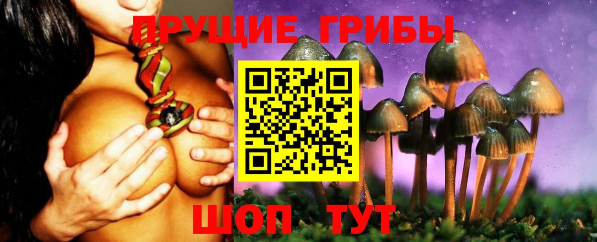 Псилоцибиновые грибы Cubensis Мирный