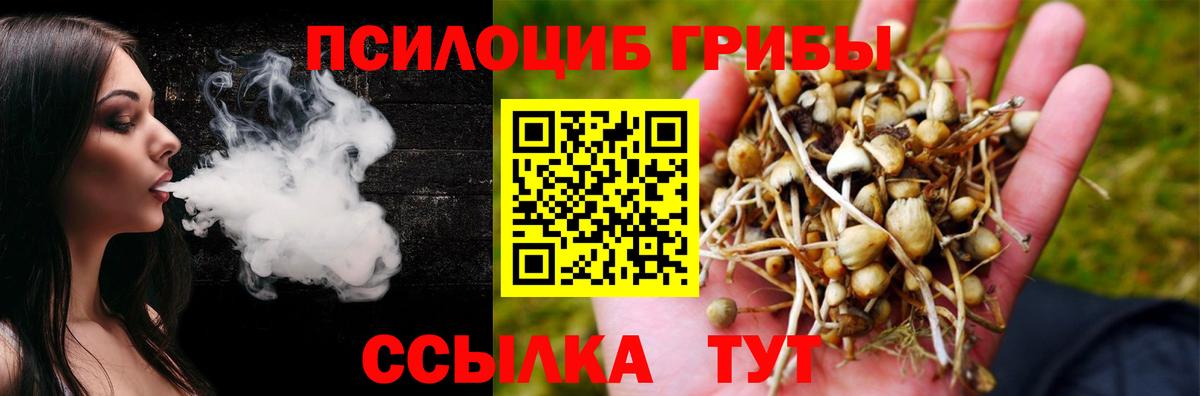 Мирный  Псилоцибиновые грибы Magic Shrooms  Вход с VPN 
